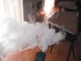 /album/trabajos-realizados/fotos-pest-control-1151-jpg/